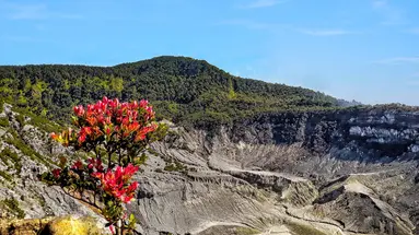 Jawa i Bali - W krainie batiku