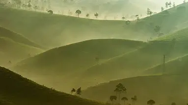 Jawa i Bali - W krainie batiku