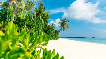 JAWAKARA ISLANDS MALDIVES