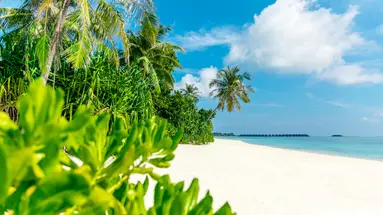 JAWAKARA ISLANDS MALDIVES