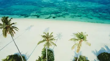 Jawakara