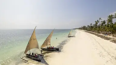 Jaz Adonia Beach Resort