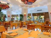 Jaz Fayrouz Resort