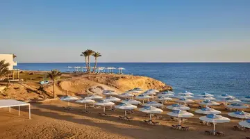 JAZ NEO REEF MARSA
