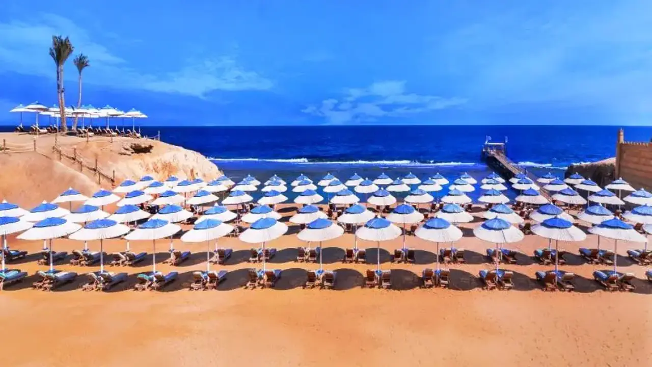 JAZ NEO REEF MARSA