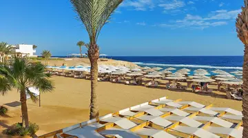JAZ NEO REEF MARSA