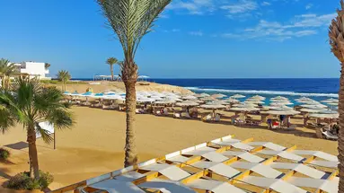 JAZ NEO REEF MARSA