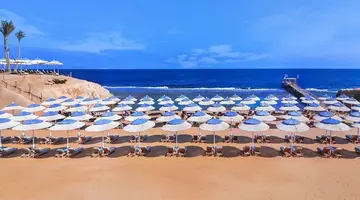 JAZ NEO REEF MARSA