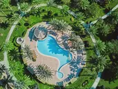 Jaz Neo Saraya Palm