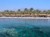 Jaz Sharm Dreams