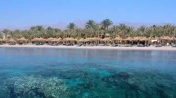 Jaz Sharm Dreams