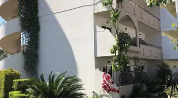 Jimmys Garden