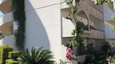 Jimmys Garden