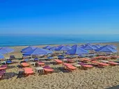 Joan Beach