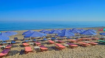JOAN BEACH