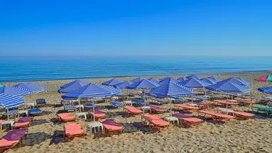 JOAN BEACH