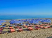 Joan Beach