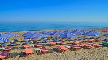 Joan Beach