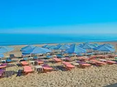 JOAN BEACH