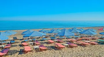 JOAN BEACH