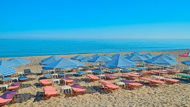 JOAN BEACH