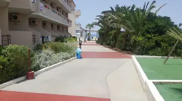 Joan Beach