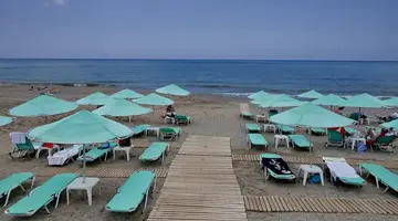 JOAN BEACH