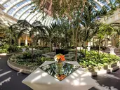 JOIA Paraiso by Iberostar