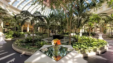 JOIA Paraiso by Iberostar