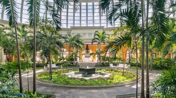 JOIA PARAISO BY IBEROSTAR