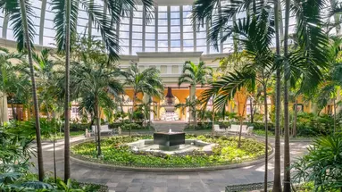 JOIA PARAISO BY IBEROSTAR