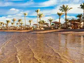 Jordania Express
