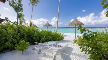 Joy Island by the Cocoon Collection
