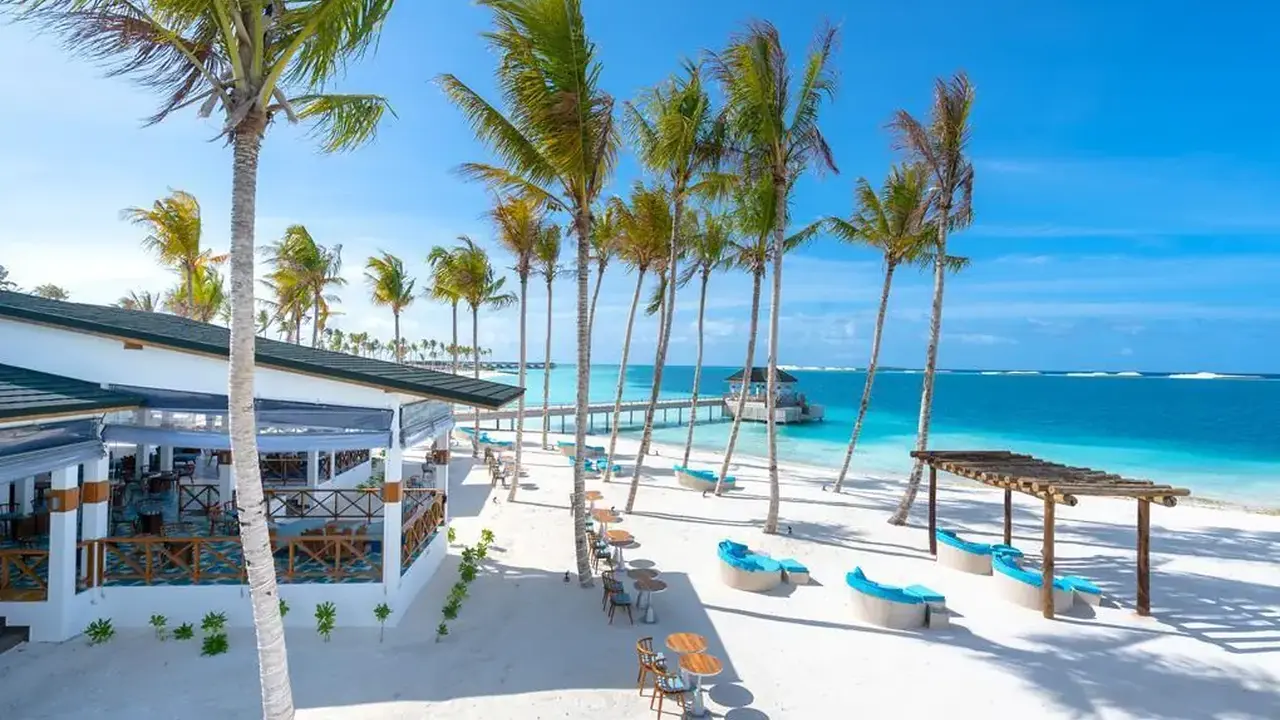 Joy Island by the Cocoon Collection