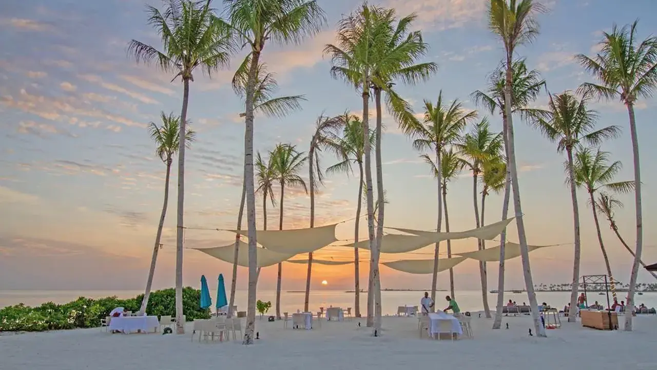 Joy Island by the Cocoon Collection