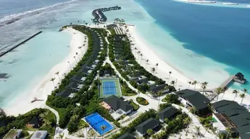 Joy Island by the Cocoon Collection