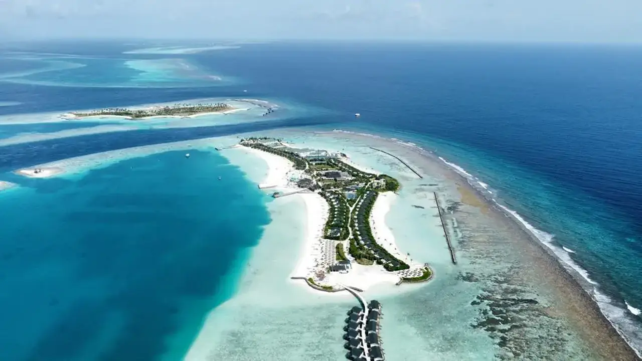 Joy Island by the Cocoon Collection