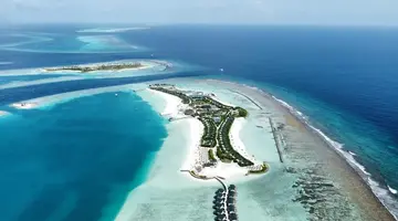 Joy Island by the Cocoon Collection
