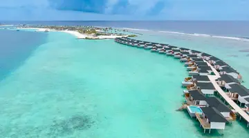 Joy Island by the Cocoon Collection