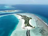 Joy Island by the Cocoon Collection