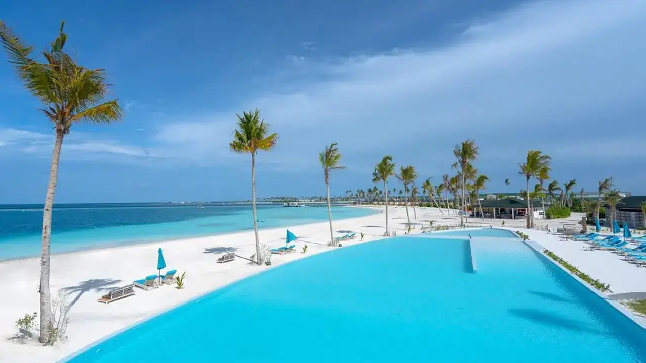 Joy Island by the Cocoon Collection