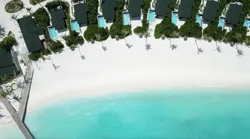 Joy Island by the Cocoon Collection