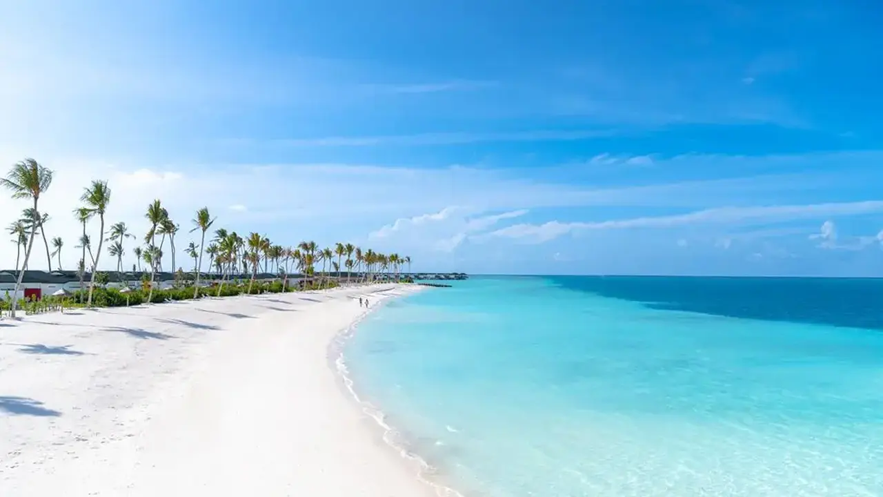 Joy Island by the Cocoon Collection