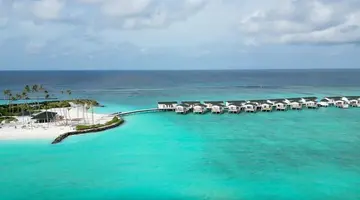 Joy Island by the Cocoon Collection