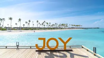 Joy Island by the Cocoon Collection