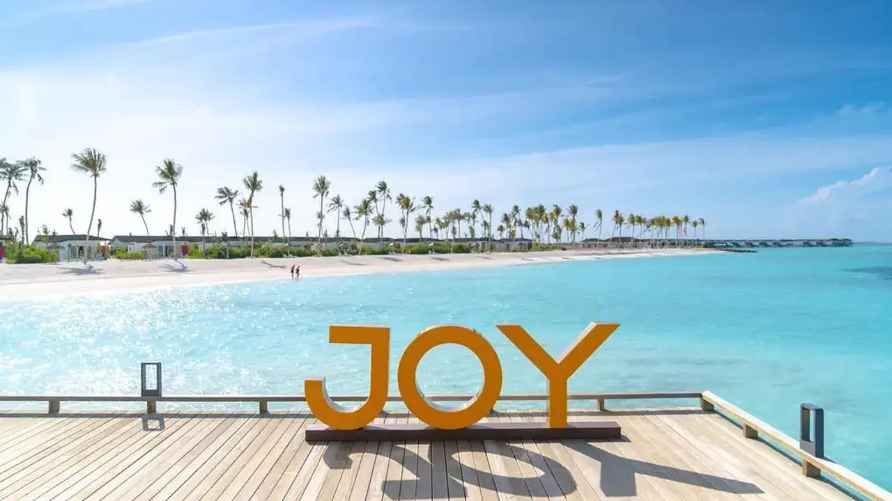 Joy Island by the Cocoon Collection