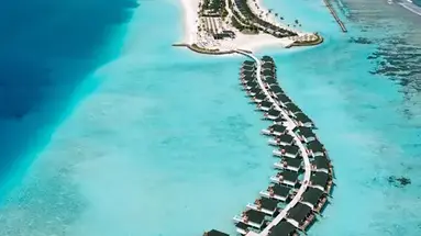 Joy Island by the Cocoon Collection