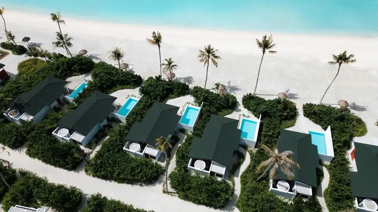 Joy Island by the Cocoon Collection