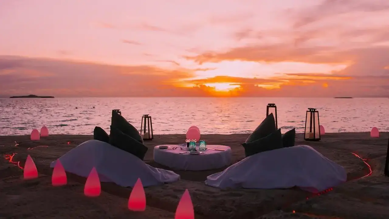 Joy Island by the Cocoon Collection