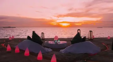 Joy Island by the Cocoon Collection